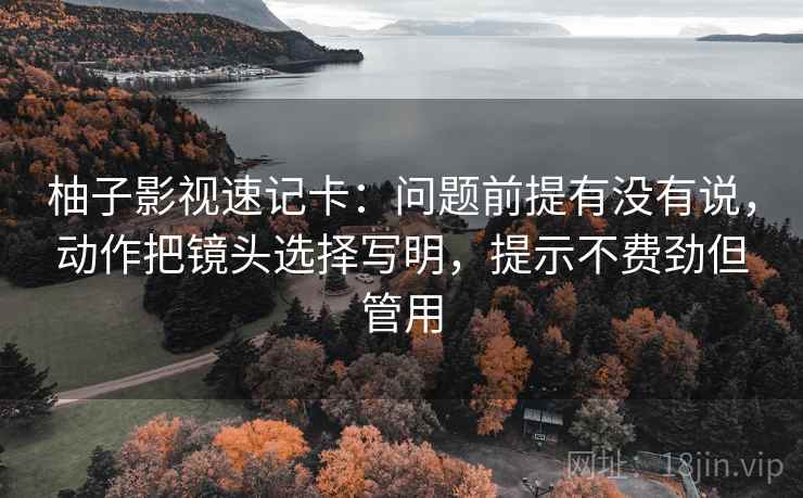 柚子影视速记卡：问题前提有没有说，动作把镜头选择写明，提示不费劲但管用